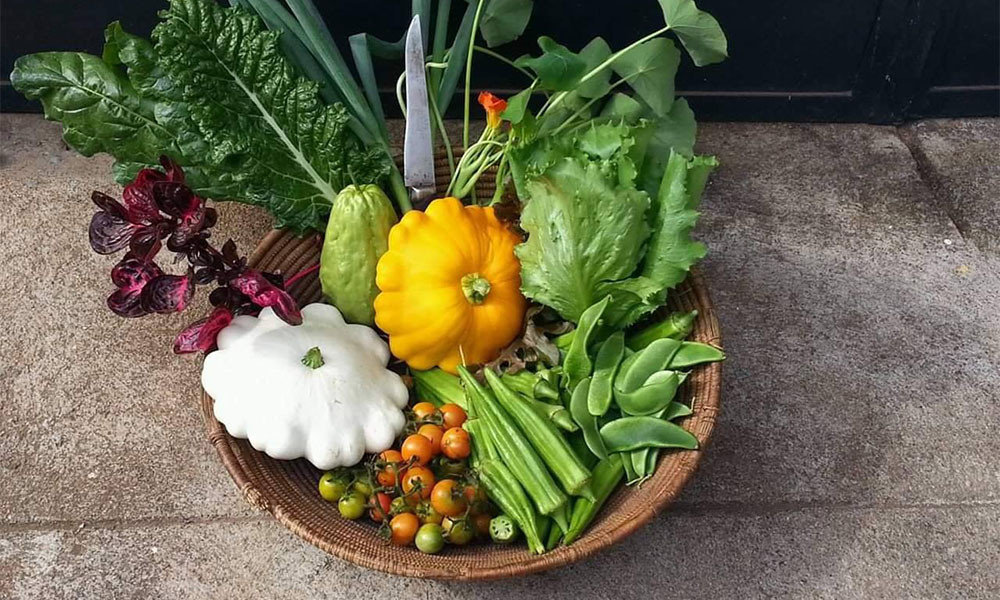 Nutrition and Reproductive Health